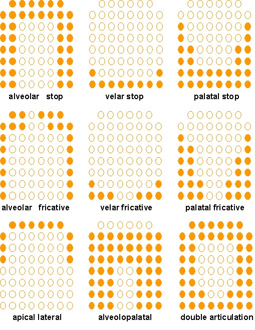 EPG consonant contact patterns in normal speech
