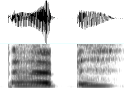 'papi_HI spectrogram