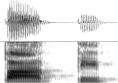 'papi_NH spectrogram