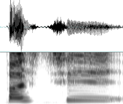 pa_si_HI spectrogram
