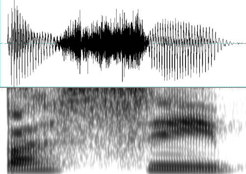 pa_si_NH spectrogram
